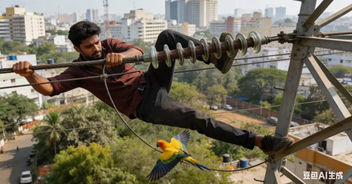 價值1.7萬寵物鸚鵡停落高壓電塔！印度32歲男救鳥心切揮鐵管驅趕觸電身亡