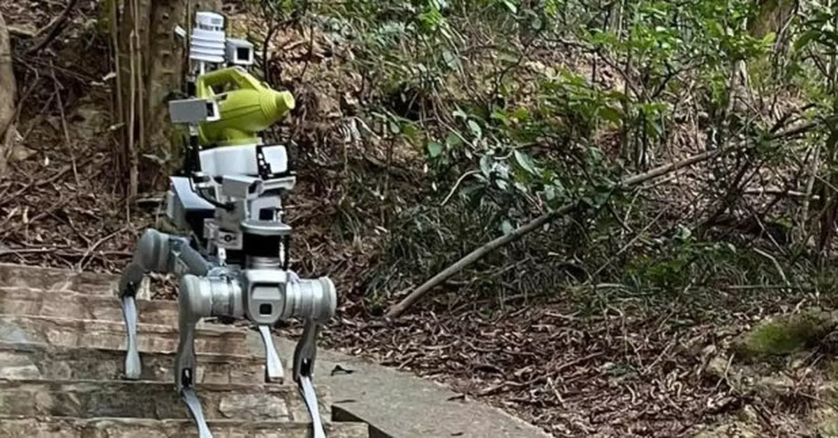 青衣自然徑一帶加強防控蚊患　署方試用滅蚊機械狗及設新型捕蚊器