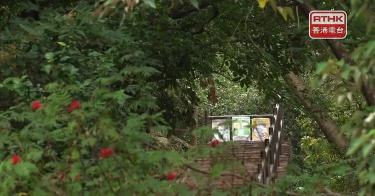 青衣自然徑繼續暫停開放　當局籲曾到訪並有病徵市民盡快求醫