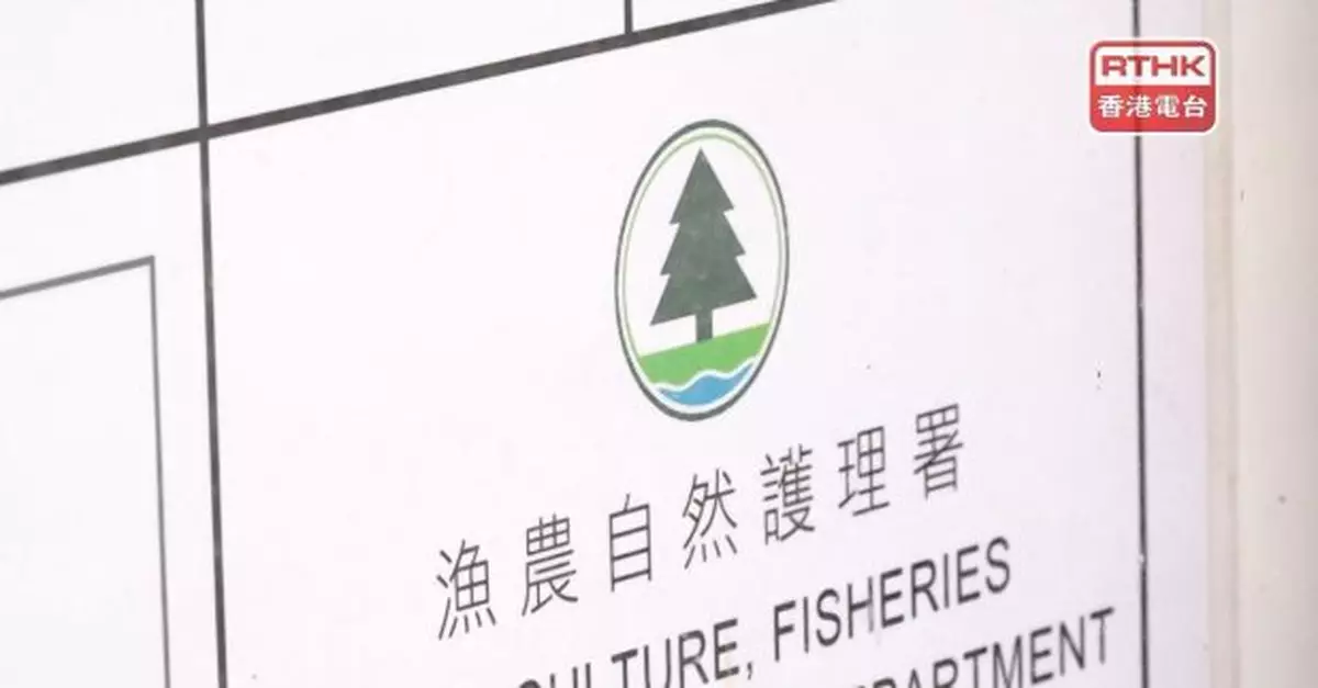 元朗流浮山持牌豬場豬隻樣本檢測出非洲豬瘟病毒　正安排銷毀豬隻