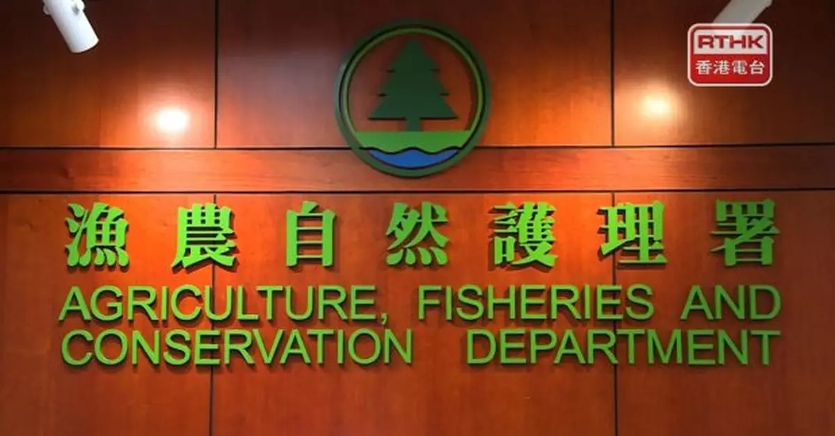 內地男子疑在西貢破邊洲拍照失足墮崖死亡　漁護署籲遊人注意安全