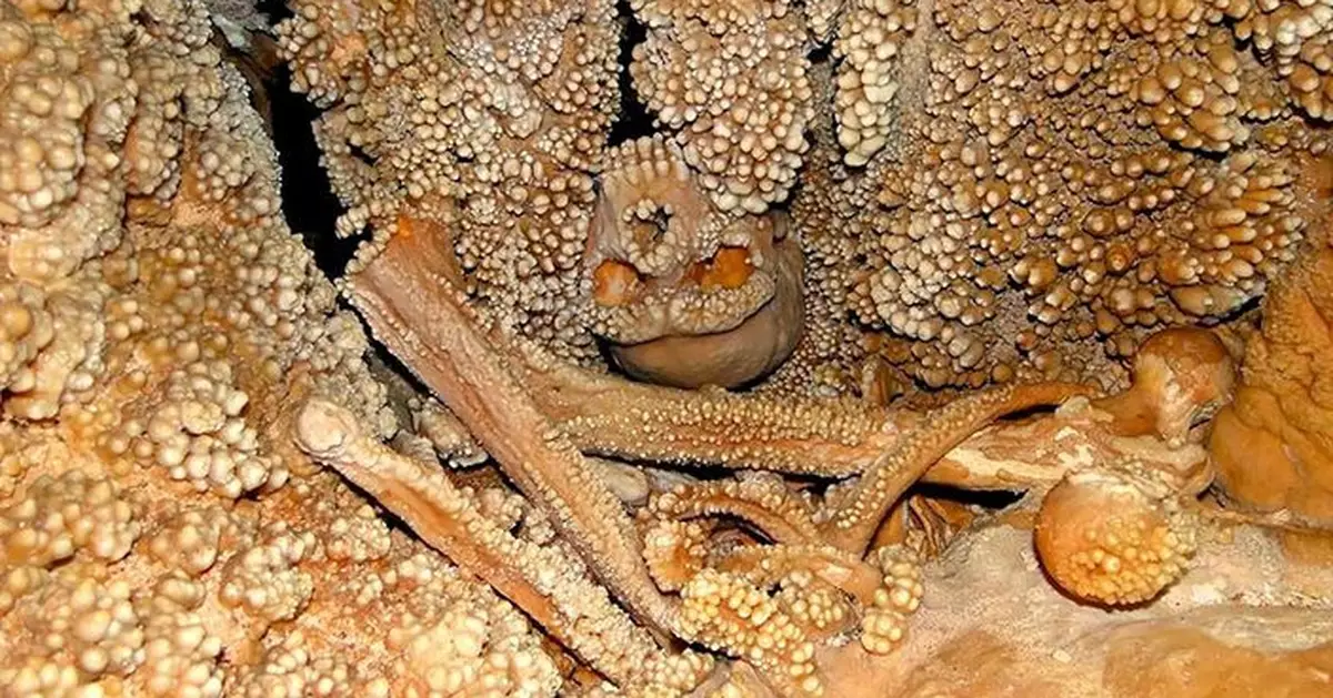 有圖慎入！12.8萬年前尼安德塔人墜洞嵌入岩壁成化石 意「爆谷人」身份曝光