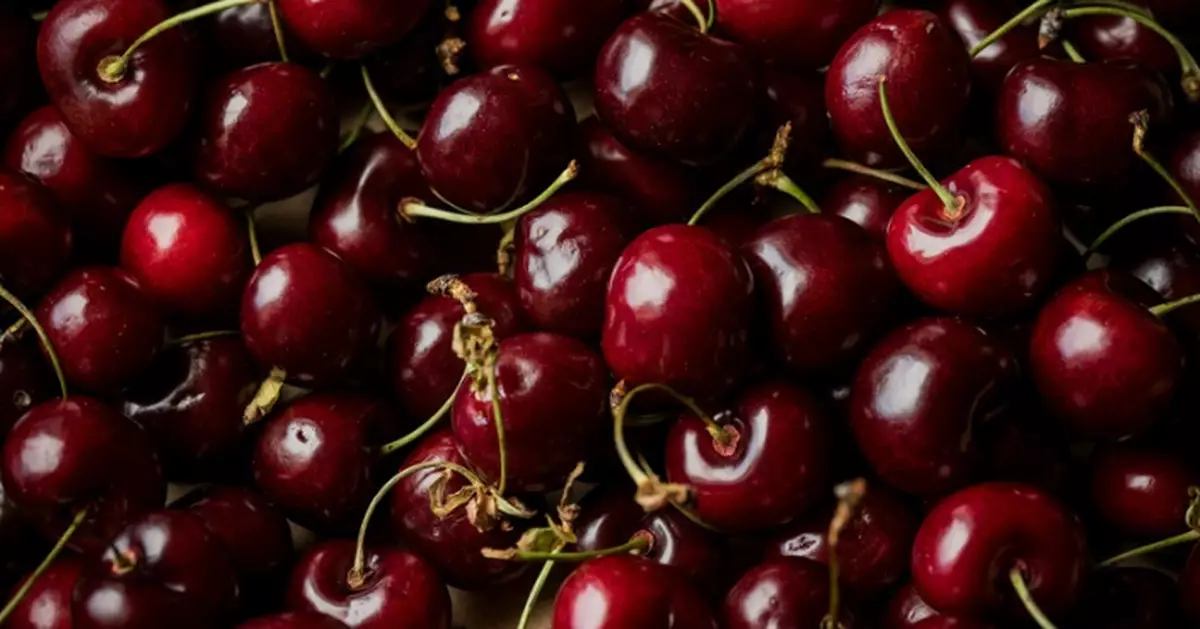 車厘子味甜唔等於熱量高 營養師教食得安心又唔超標