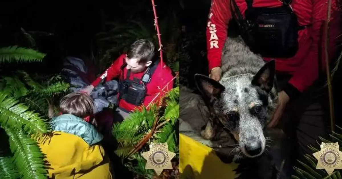 美8旬失智症長者零度天氣受困山區 鬥牛犬不離不棄吠叫引導搜救助獲救