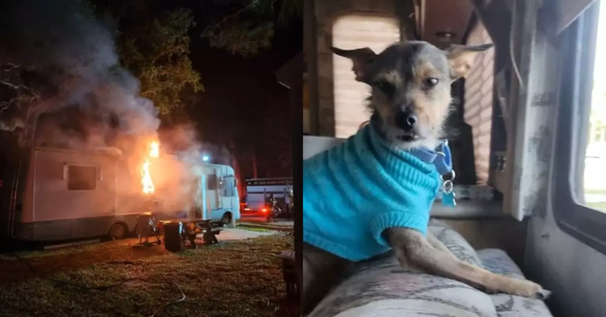 晚30秒後果難料 美母女房車內熟睡突發火警 獲忠犬吠叫喚醒逃過一劫