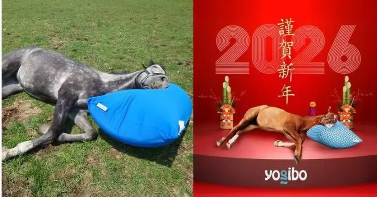 美國懶骨頭品牌PO相賀新年 日人氣退役賽馬示範「爽躺」枕頭入睡掀熱議