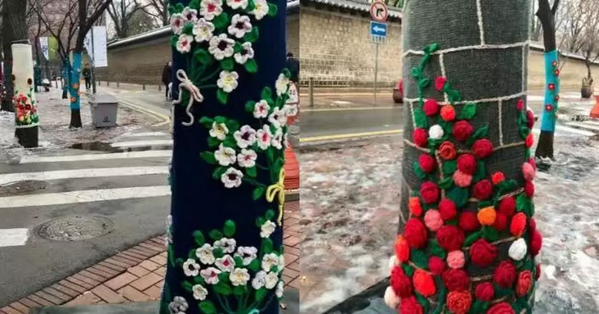 美觀防寒又防蟲！南韓街頭樹木著「針織外衣」成冬日療愈風景