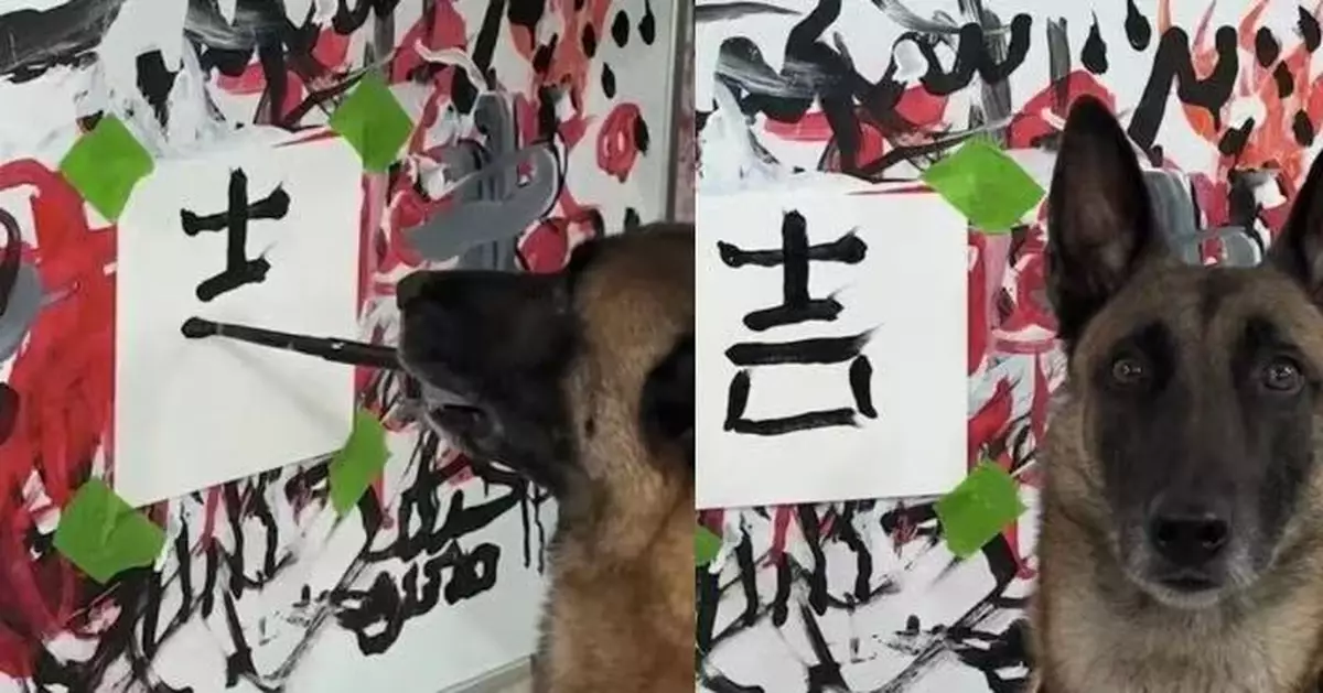 曾被譽為「狗界莫奈」！比利時犬挑戰中文書法寫「吉」字獲收藏家2.3萬買下