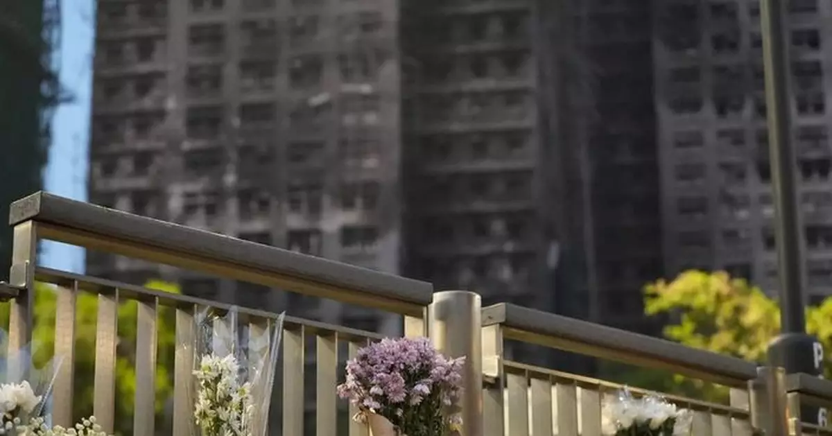 同心救災｜大埔區議會研善後支援　黃碧嬌：希望盡快公布重置方案