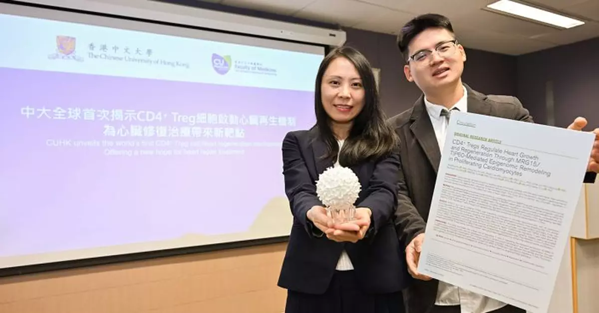 中大研究：免疫細胞Treg能促進心肌再生 望助治療心臟疾病