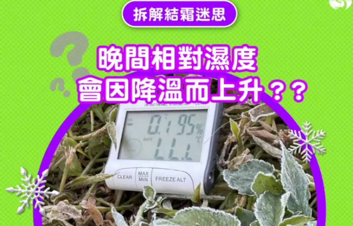 新界空曠地區輻射冷卻較為明顯 天文台：局部地區仍有機會結霜