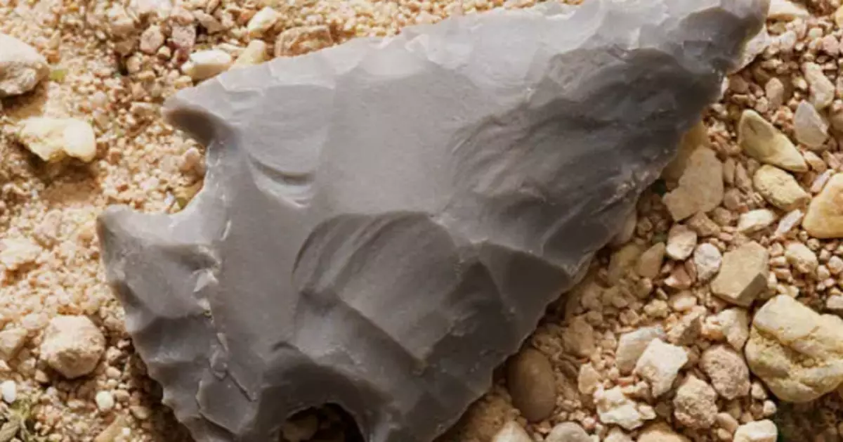 南非考古發現：6萬年前人類識用植物毒藥製武器