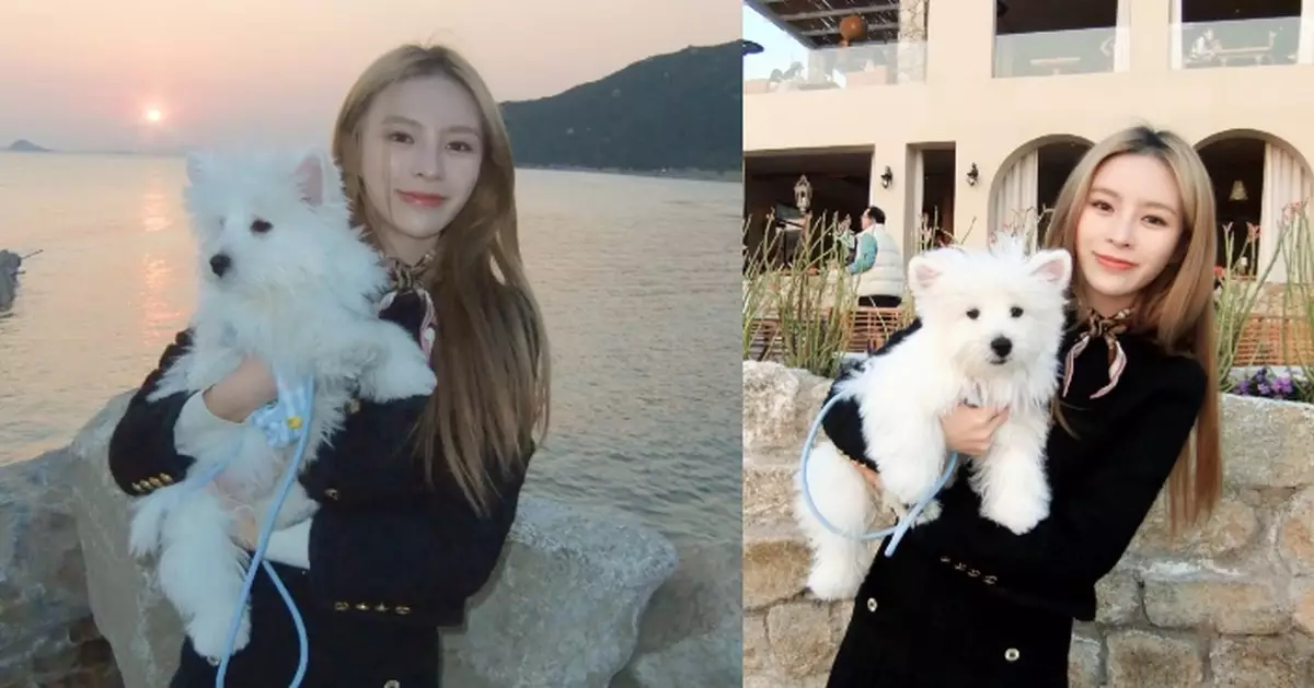 前女團成員莊錠欣介紹新家庭成員 與愛犬日落下留影：我們一起慢慢長大