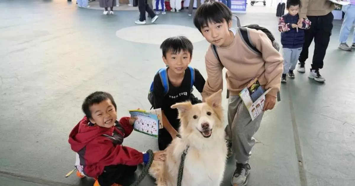 警舉辦「第五屆東九龍動物嘉年華」 人寵齊齊推廣護動、禁毒、防騙