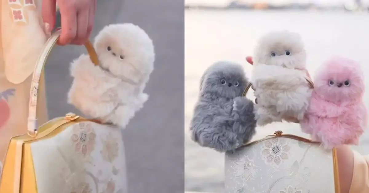 將取代labubu？日本推出情緒感應布偶「Mirumi」　搖頭、討抱宛如寵物