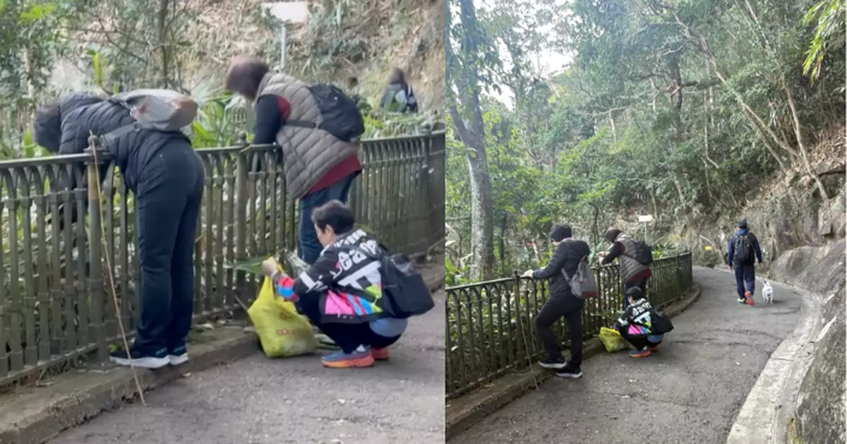 大媽三人山頂疑摘葉片不惜探身鐵欄外！ 戰利品塞滿背心袋 網民估係呢樣嘢