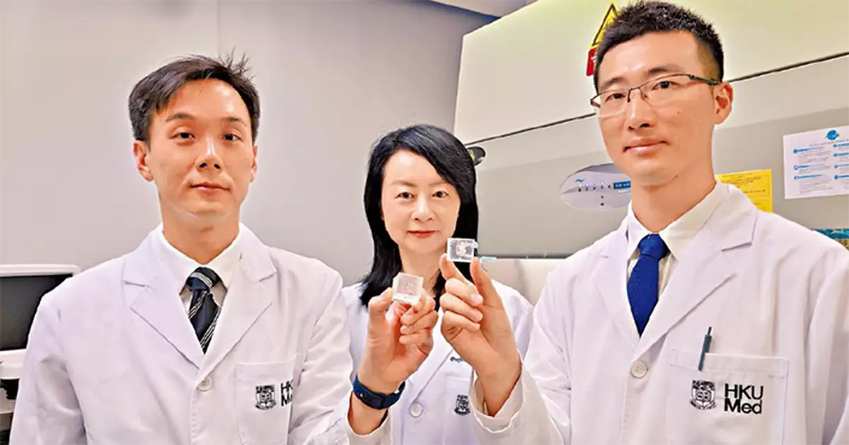港大醫學院研發全球首個「仿生肝立方」三維打印模擬肝癌微環境助精準選藥