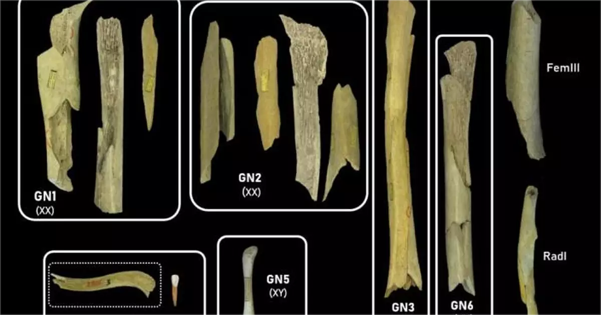 證人食人傳說係真？比利時洞穴4.5萬年前尼安德特人婦孺骨骸現切割痕