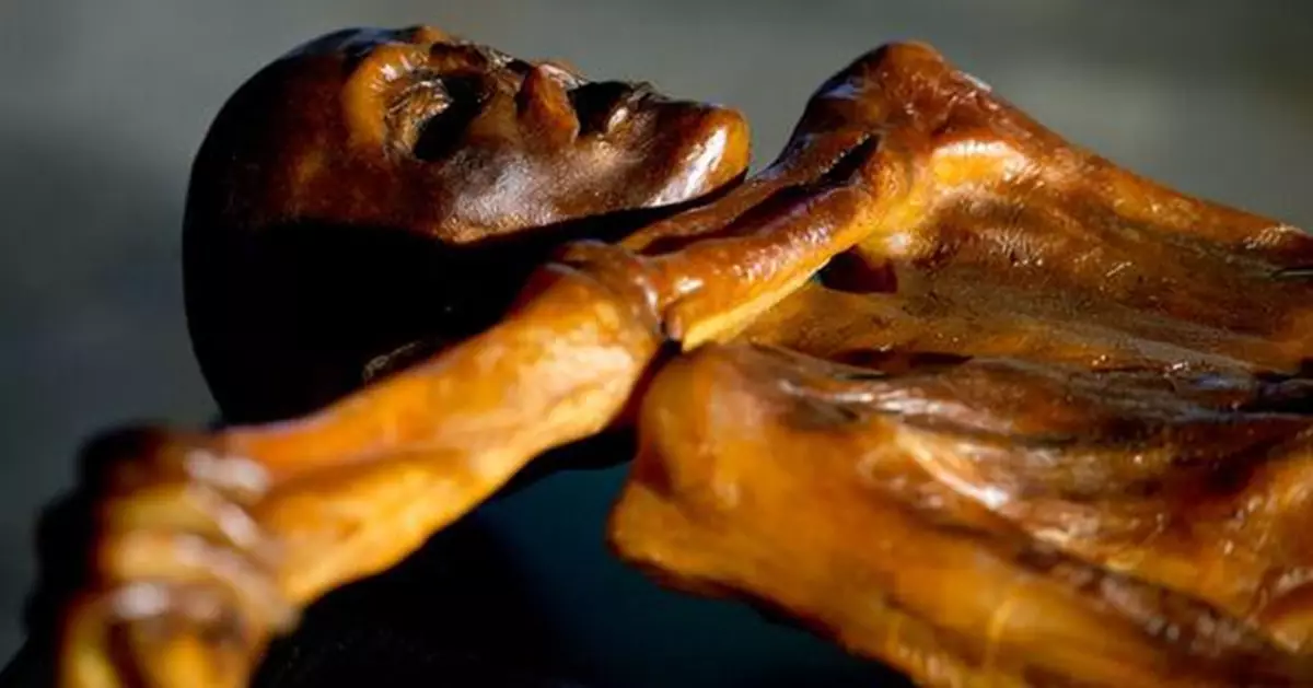 HPV16感染史大幅推前！研究：5300年「冰人奧茲」與4.5萬年前西伯利亞人皆帶病毒