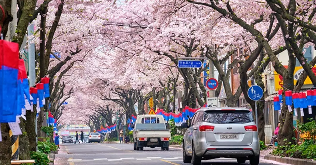 富士山櫻花祭緊急取消！遊客「犯罪級」迷惑行為惹民憤