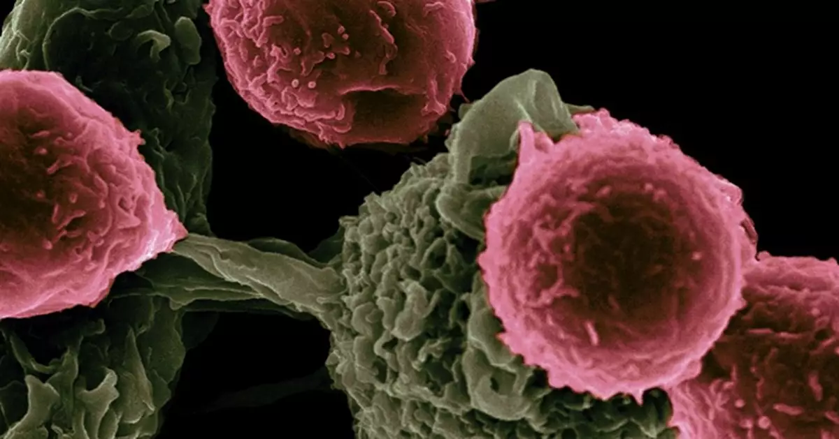 世衛報告揭秘：近四成癌症可預防！戒煙酒、接種疫苗成保命關鍵