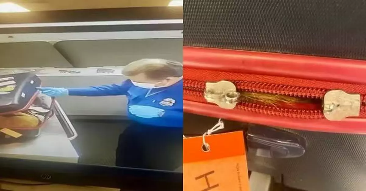 美乘客機場安檢被揭行李箱藏「活物」 打開見1橘貓傻眼 飼主急認領