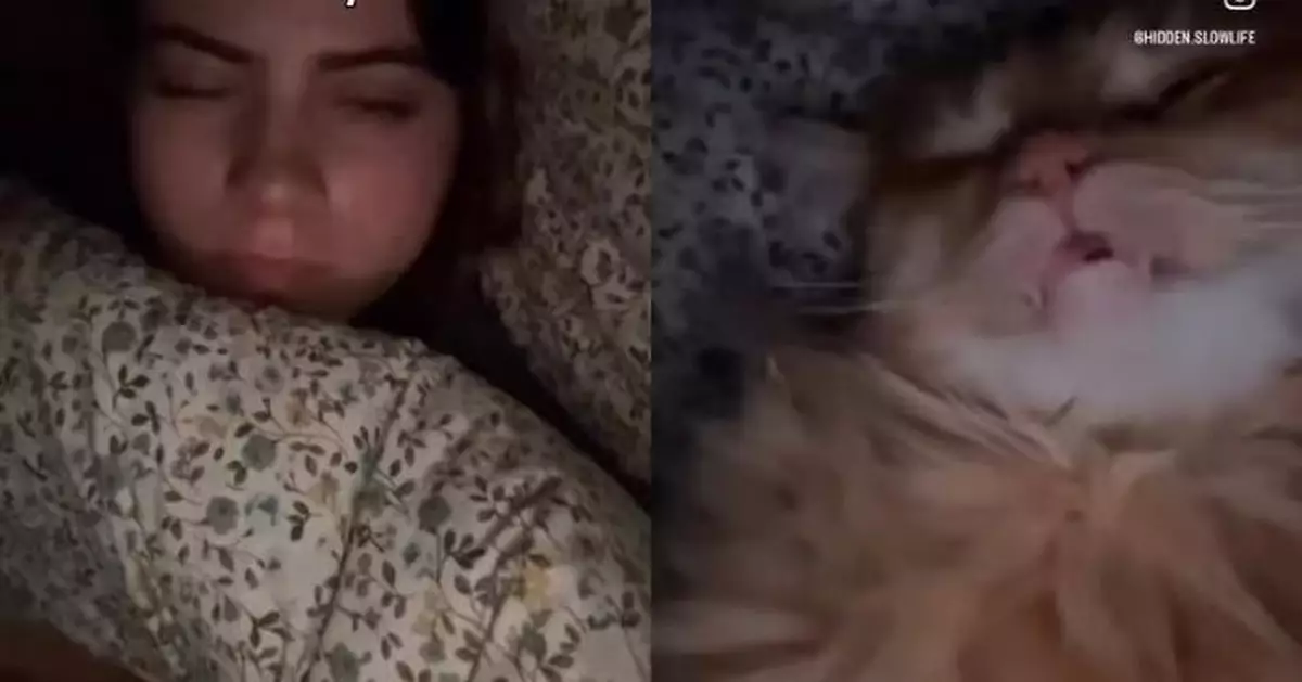 半夜突感呼吸不暢以為「鬼壓床」 女飼主睜眼驚見橘貓壓胸口熟睡勁無奈