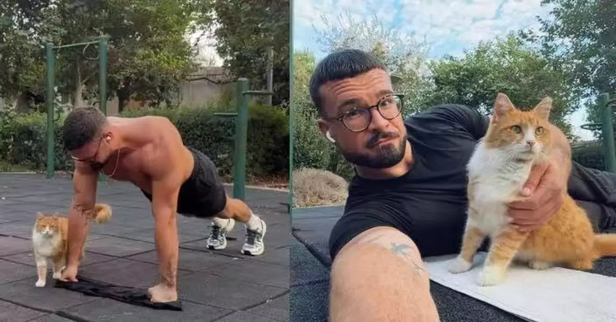 被「欽點」當主人！塞浦路斯男公園健身連續2日遇黏人橘貓終暖心收養