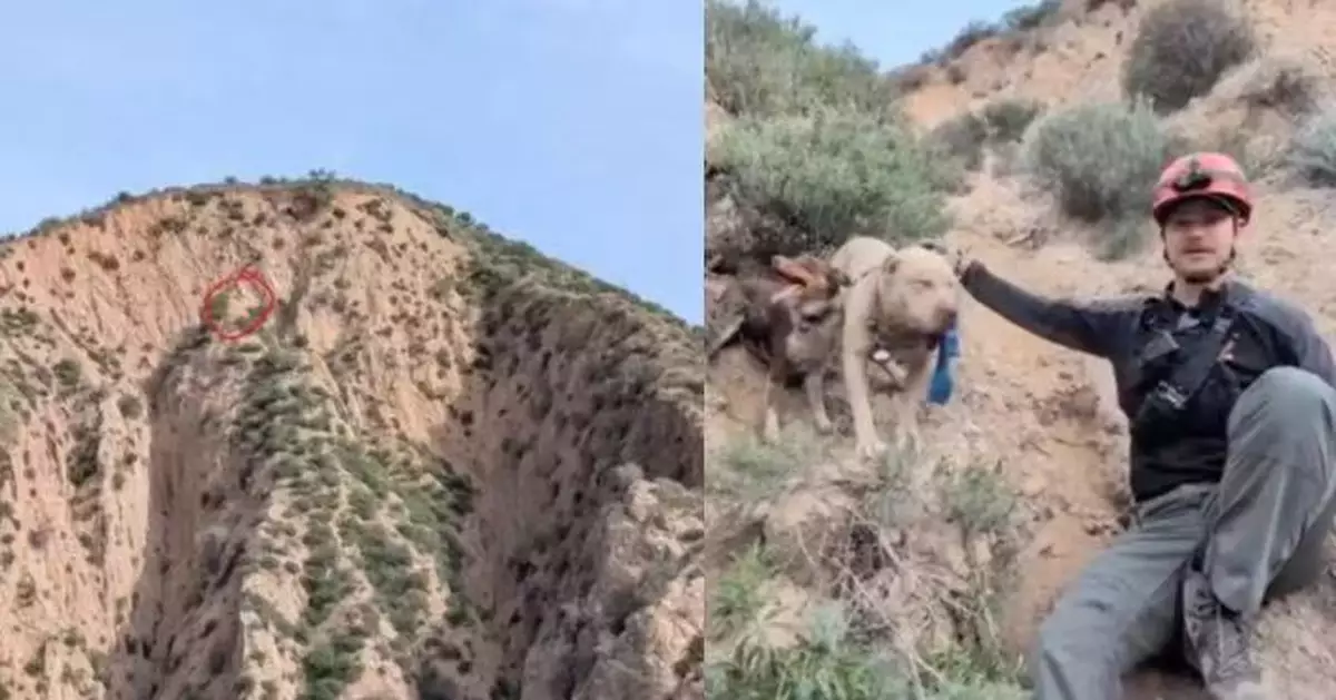 山區勘查地形聞吠叫聲遇狗狗求救 美2搜救員尾隨其後救出2受困狗隻