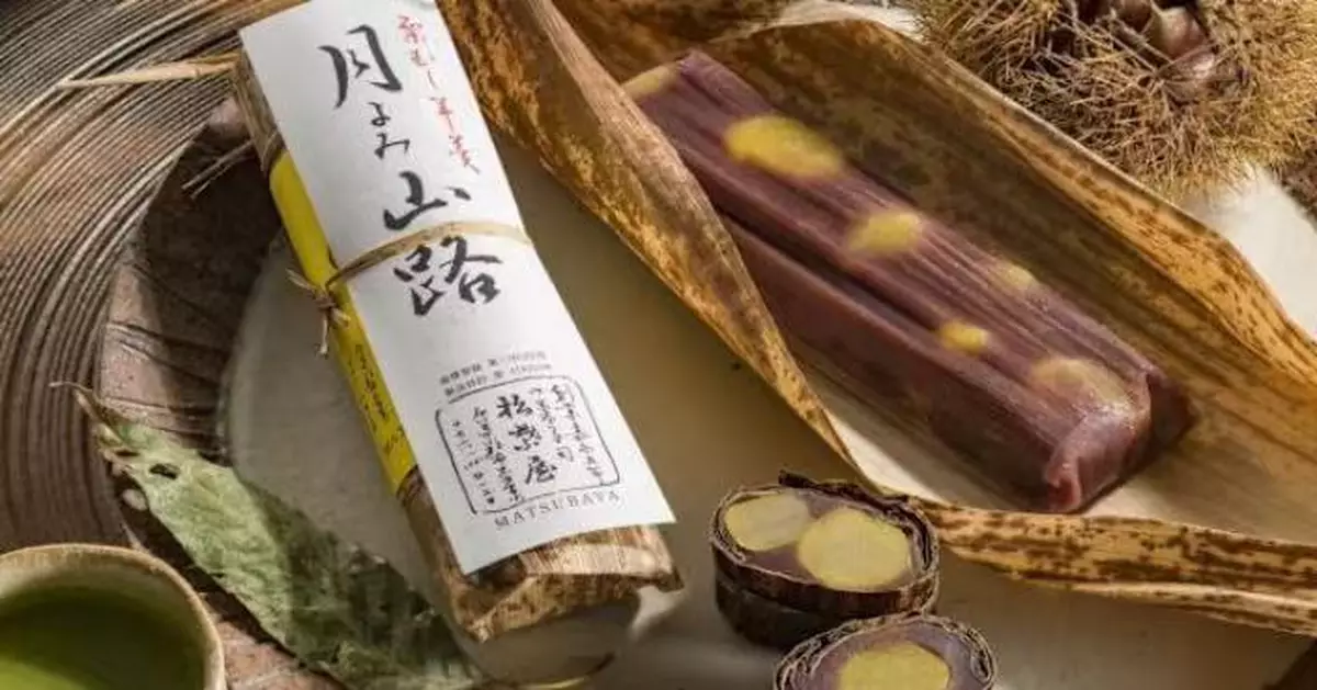 外形撞樣「塑膠炸彈」 日本「1手信」屢遭機場安檢誤認爆炸物攔查