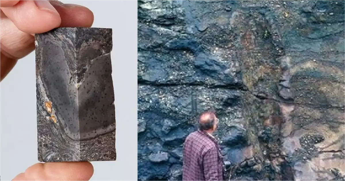 地球曾被「巨塔」統治？　蘇格蘭「怪柱」化石翻案　 4億年失落生命終揭謎