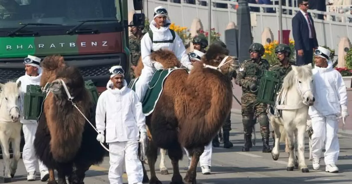 印度閱兵現「動物兵團」　駱駝軍犬猛禽齊登場　冀展示高原作戰潛力