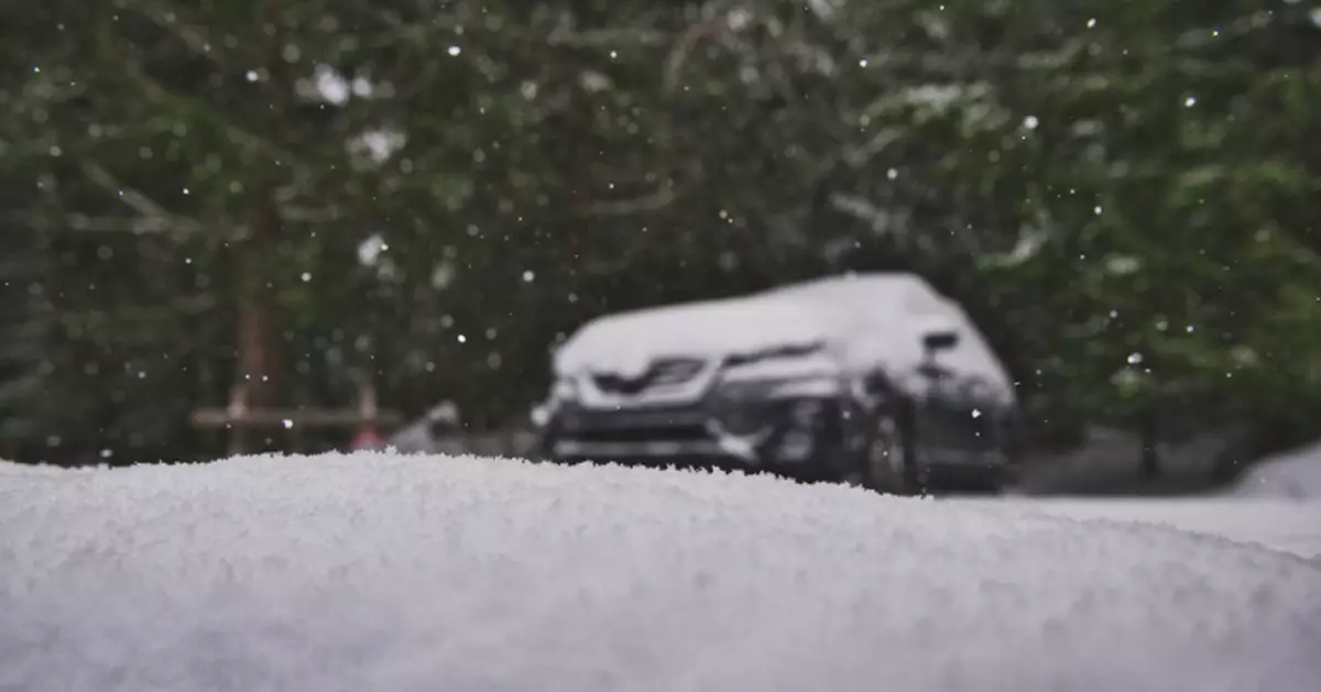 紐約1人1狗陳屍車內 疑發動機排氣管被雪堵住釀禍