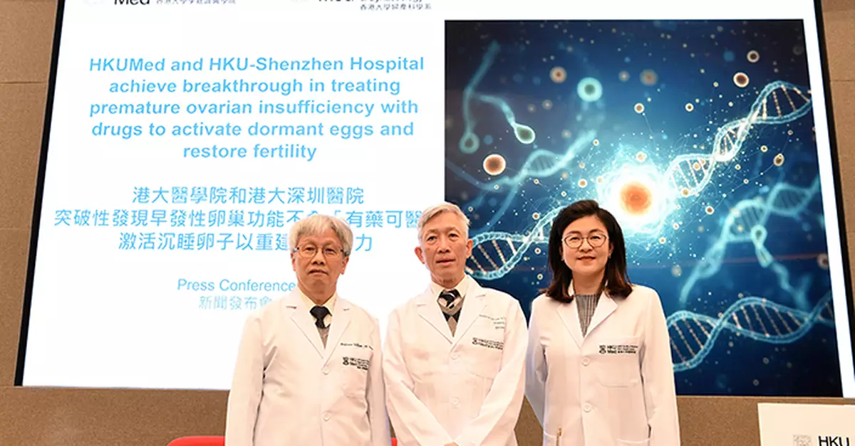 港大醫學院：慢性腎病藥促進卵泡發育  為早發性卵巢功能不全病人帶來生育希望