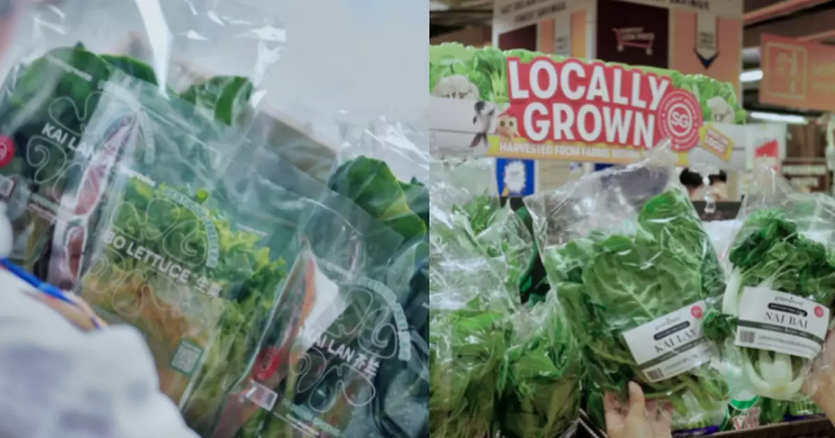 年產2000噸菜！新加坡「未來農場」只得廿個員工 種菜靠全自動