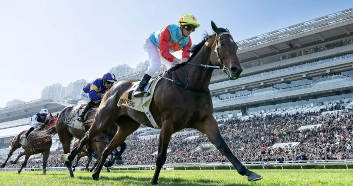 應屆馬王嘉應高昇懷抱香港精神 年初六將力爭締造18連勝新紀錄