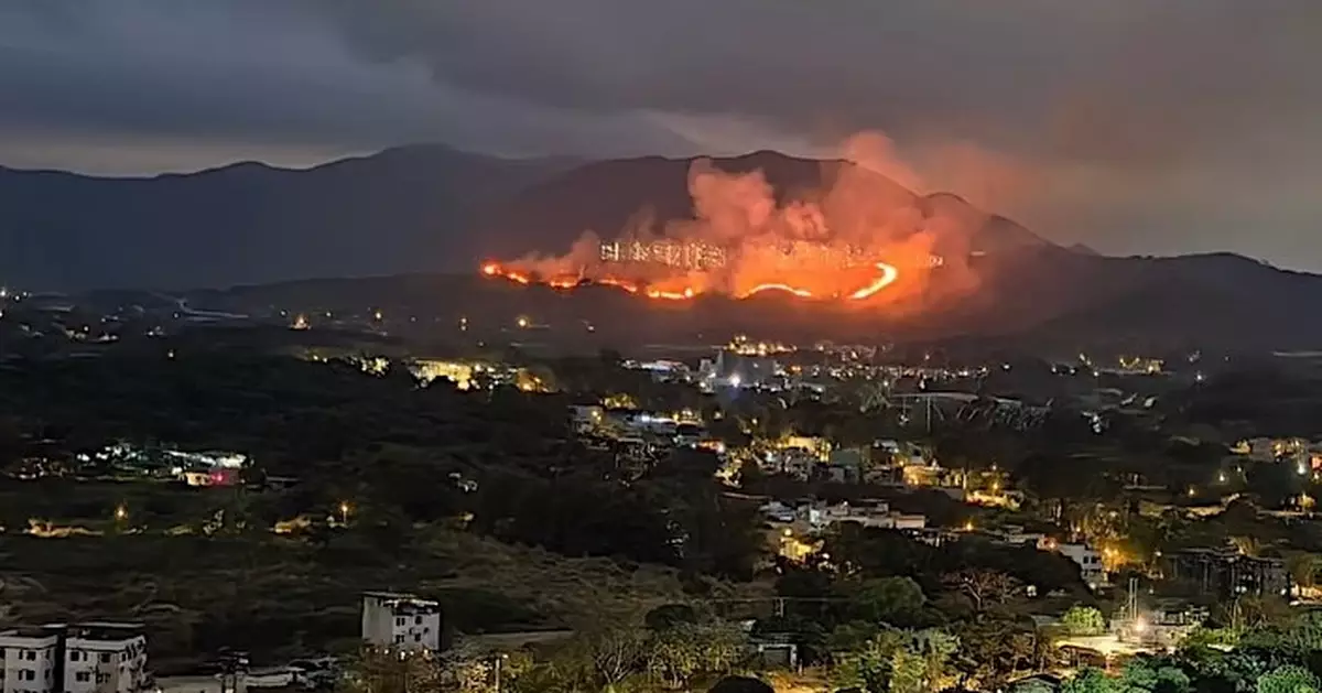 粉嶺坪輋一帶山火 兩條數十米長火線焚燒