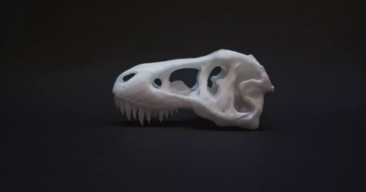 阿根廷出土迷你恐龍 得「烏鴉」咁大 重量不足1公斤