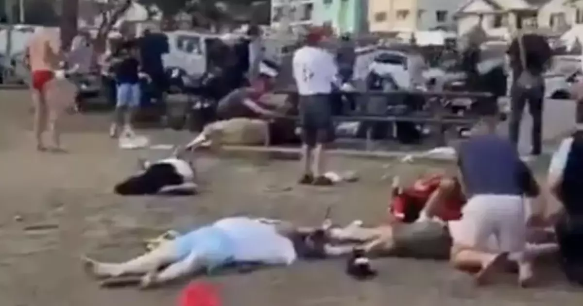 澳洲悉尼邦迪海灘恐襲案槍手被捕後首次出庭