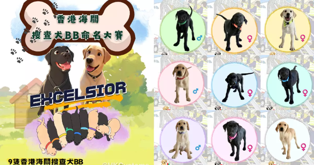 海關搜查犬命名比賽又來了！ 9隻可愛黑白狗BB等大家幫手改名