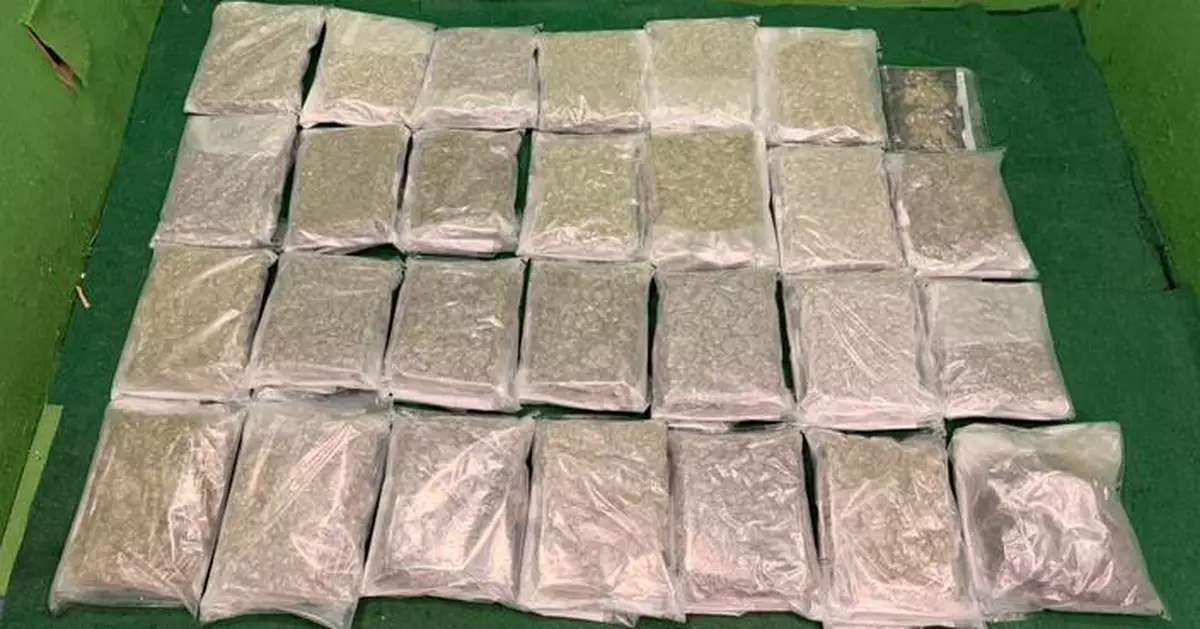 機場入境男子行李藏270萬大麻花被捕