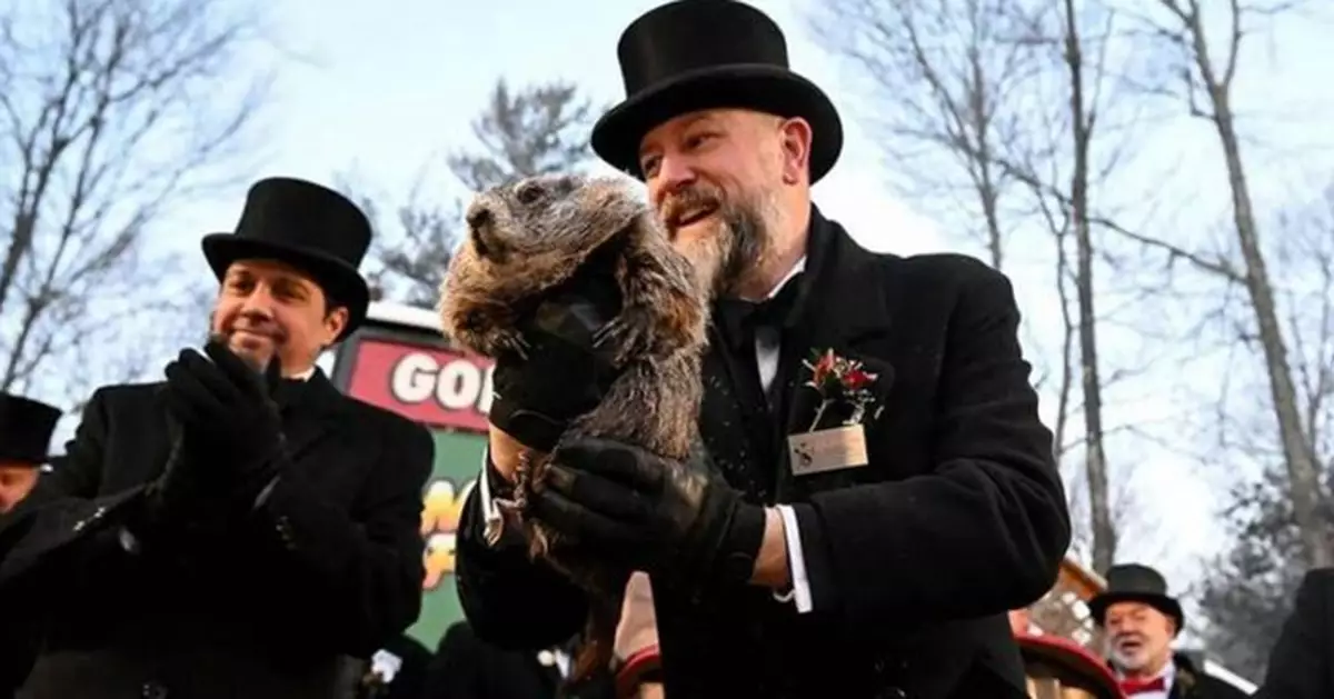 美國「氣象神獸」土撥鼠菲爾看到影子 預言寒冬將再持續6週