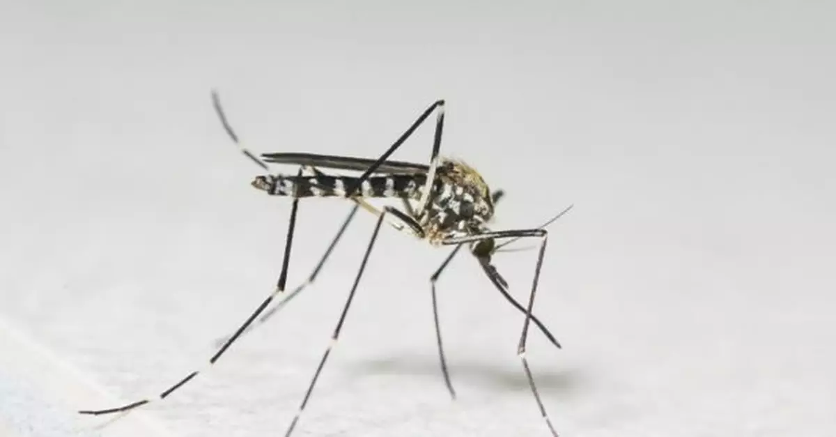 本港新增一宗外地傳入登革熱個案　病人潛伏期曾到印尼