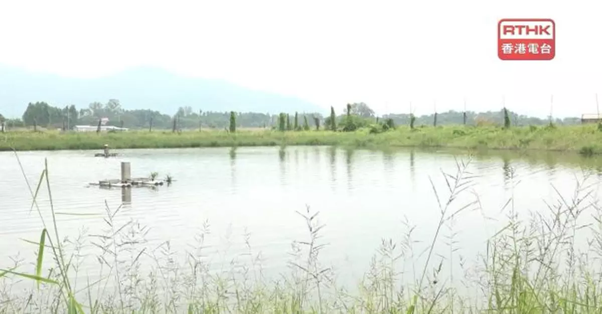 保安局擬取消部分米埔邊境禁區及修訂邊境禁區界線