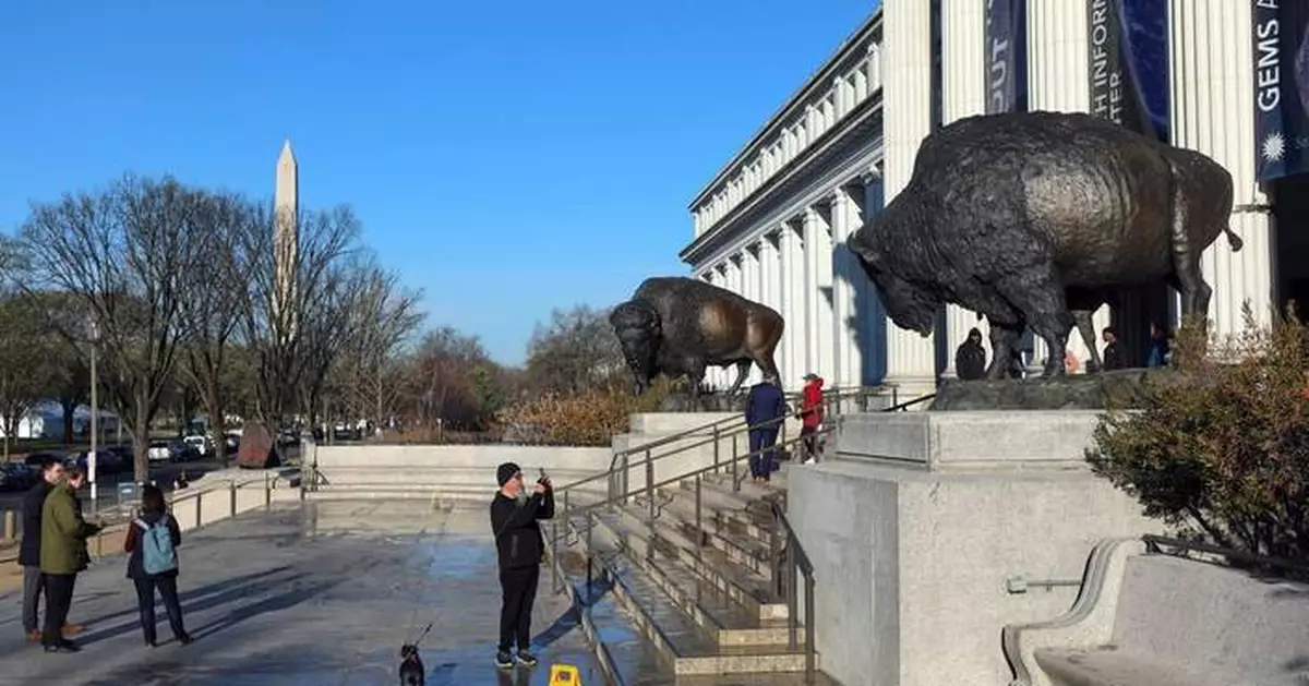美國國獸野牛獲青銅雕像致敬 慶祝建國250周年