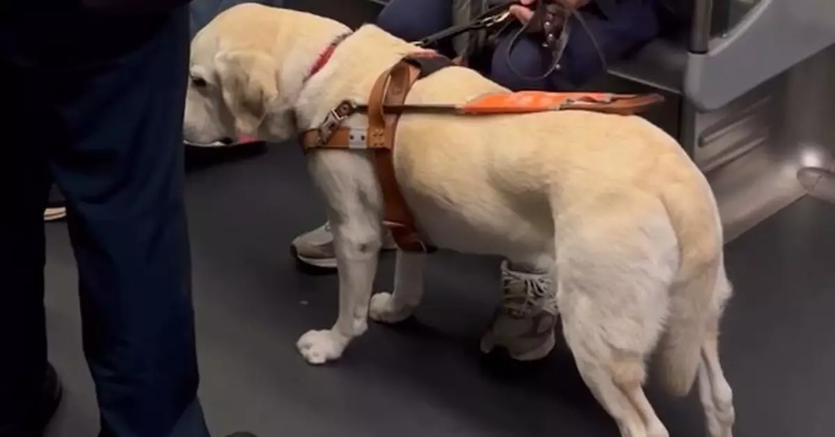 視障男攜導盲犬搭港鐵遭乘客辱罵 網民怒斥「無知」心痛狗狗受驚