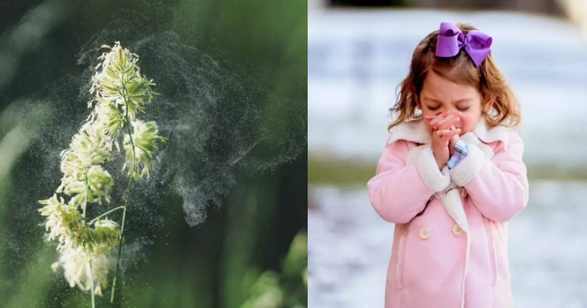春季花粉塵蟎活躍 小朋友鼻敏感易發作 中醫教日常護理及簡單按摩紓緩不適