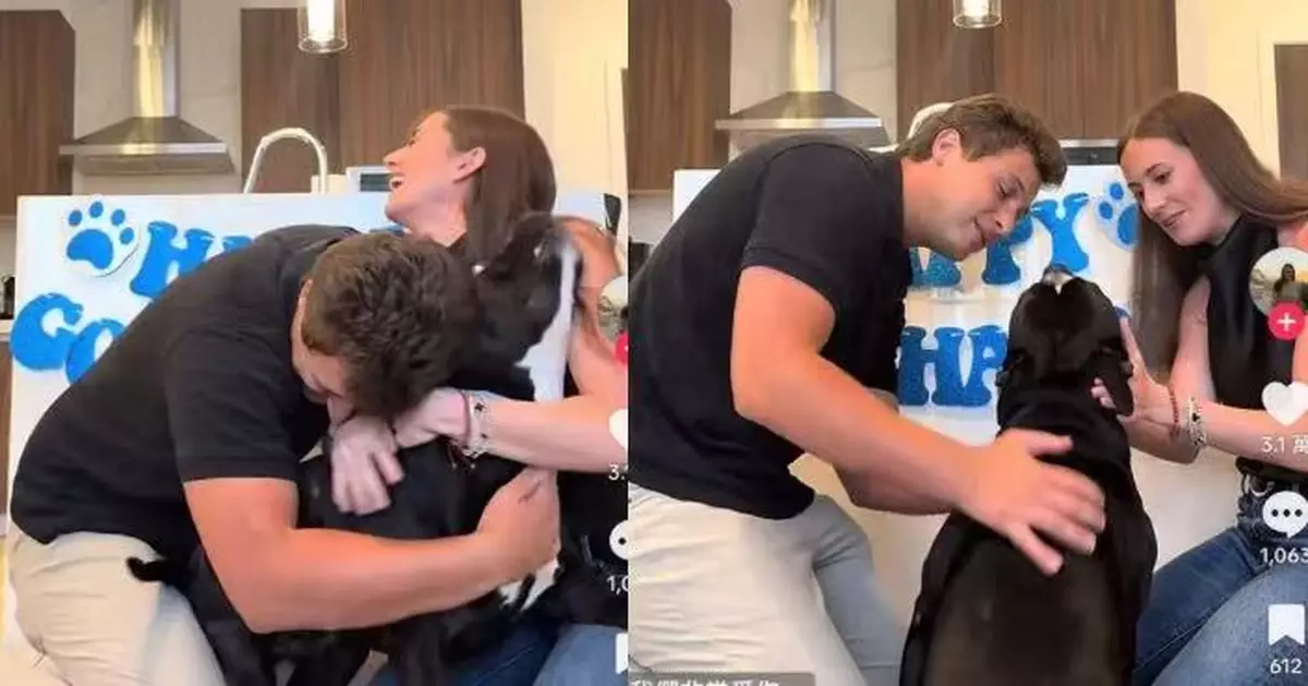 美情侶欲收養寄養流浪狗問其意願 狗仔聽明即興奮搖尾撲入懷中