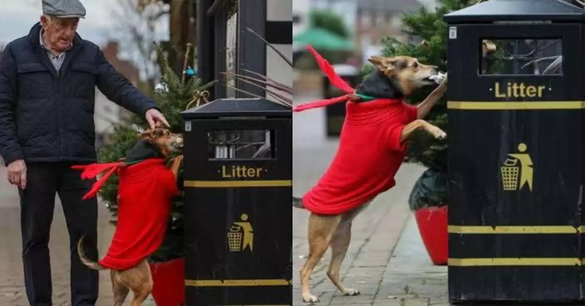 因散步愛撿垃圾走紅 狗狗意外助飼主與失散20年手足重逢成尋親功臣