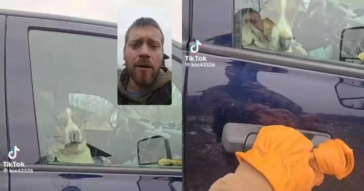 下車餵牛好心留愛犬於溫暖車內 美農夫遭狗狗「反鎖」車外吹冷風10分鐘